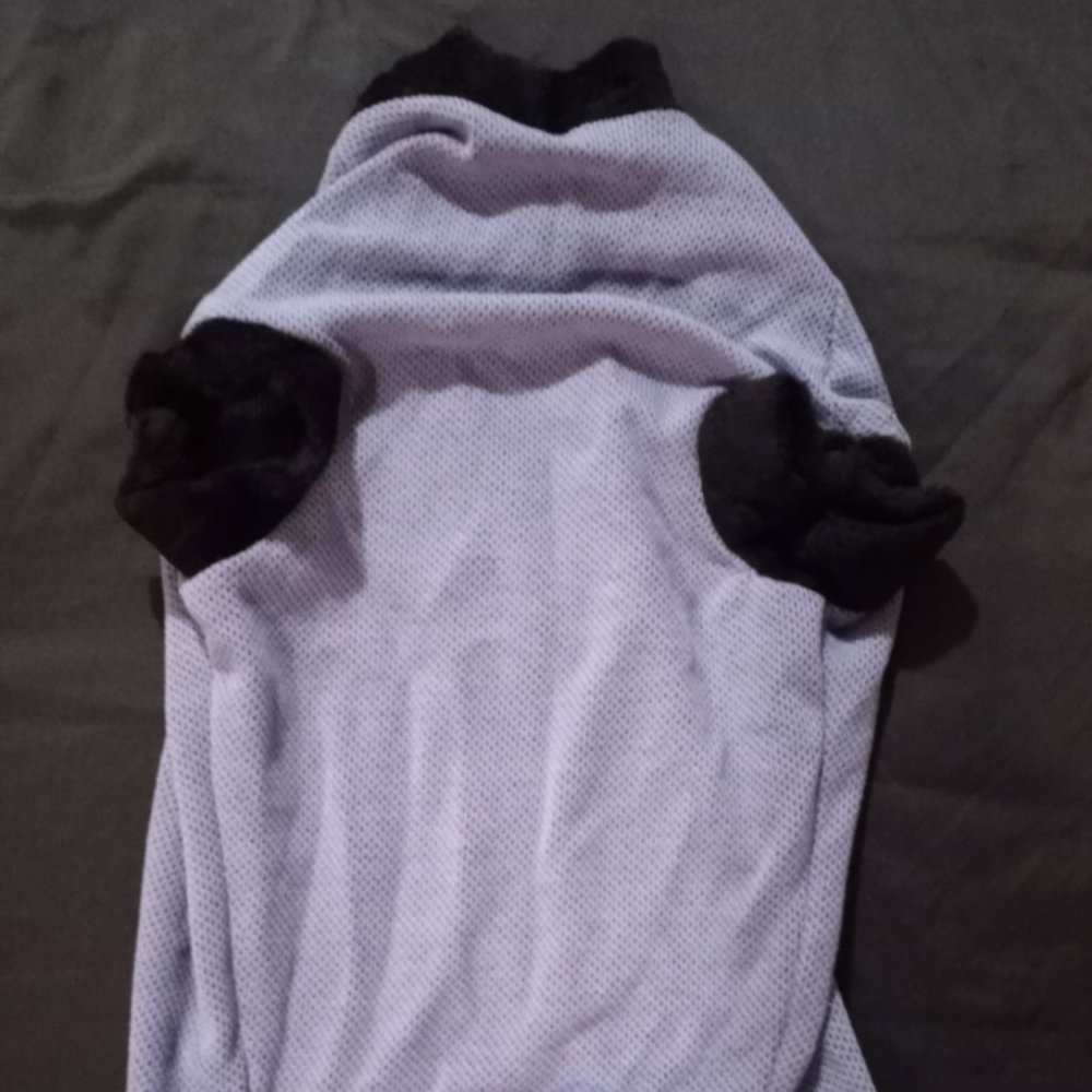 New Handmade Steel Blue Cotton Knit with Faux Fur Collar Trim Dog Sweater